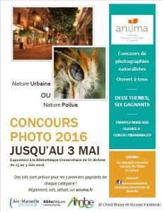 Flyer concours photo 2016_2
